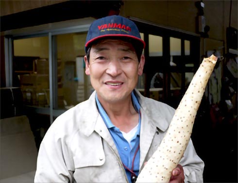 青森県、岩手県生産者グループ 有機長芋 生産者の写真