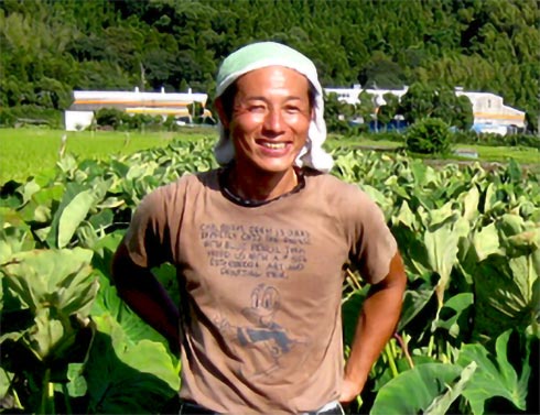 鹿児島県 有機里芋 生産者の写真