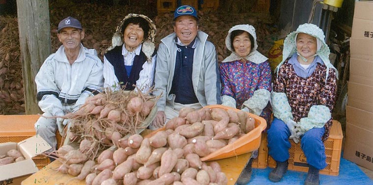 鹿児島県 有機安納芋 生産者の写真