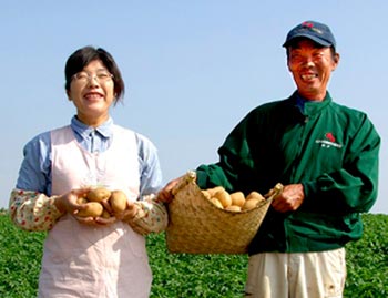 長崎県 特別栽培 馬鈴薯 生産者の写真