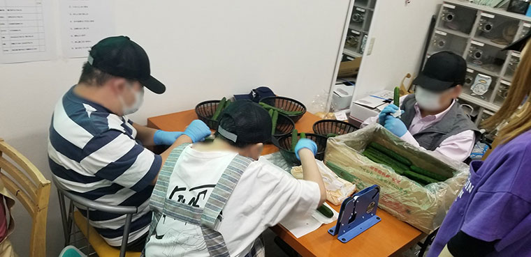 『一般社団法人 S』での作業風景