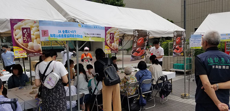 らっきょうの漬け方講習会・梅ジュースの作り方講習会の写真